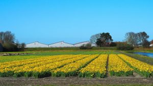 Dit weekend brengt eindelijk de zonnige dagen waar iedereen op wachtte – woensdag wordt perfect