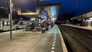 Groningen betaalt ton boete omdat vleermuizen botsen tegen gebouwen tijdens vlucht