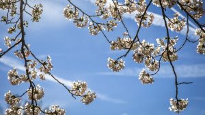 Maartse buien komen eraan: waarom dit weer zo anders voelt dan normale regen