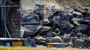 Ministerie blokkeert gemeenten die staalslakken willen verbieden – dit is waarom