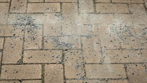 Ministerie dwong gemeenten jarenlang tot illegale staalslakken-beslissingen