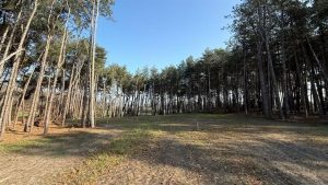 Na vijf jaar eindelijk: Brabants beruchte drugsput krijgt tweede kans