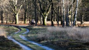 PBL waarschuwt: huidige stikstofaanpak faalt dramatisch bij het behalen van klimaatdoelen