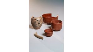 Provincie ontdekt mysterieus penisbeeld tussen vergeten schatten in ongeopende dozen