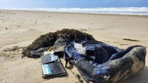 Rugtassen vol persoonlijke spullen spoelen aan op Camperduin – wat zat erin?