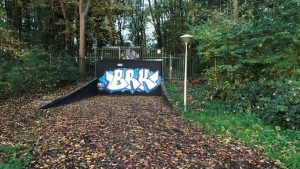 Utrecht kapt 100+ bomen om drinkwater te redden – wat je niet wist over deze drastische maatregel