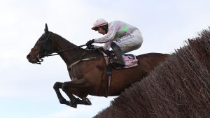 Vier paarden sterven op Cheltenham renbaan: wat er werkelijk gebeurde schokt paardenwereld