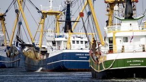 Vissers laten boten aan de kade: brandstofprijzen maken uitvaren onrendabel