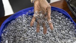 Waarom deze twee mannen 2000 mieren probeerden te smokkelen vanuit Kenia zal je verbazen