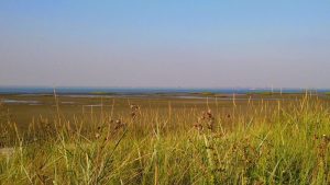 Zeeland wil kerncentrales, maar deze ene voorwaarde verrast iedereen