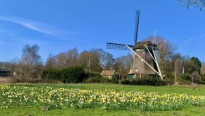 Zonnig weer houdt nog even aan, maar temperaturen dalen onverwacht snel deze week