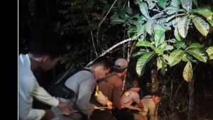 Acht mensen sterven bij mysterieuze helikoptercrash op afgelegen Borneo – wat ging er mis?