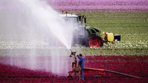 Bodem nog steeds uitgedroogd van vorig jaar – en dit voorjaar wordt nóg droger