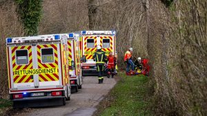 Boom valt om tijdens paasfeest in Duitsland: baby van 2 jaar onder slachtoffers