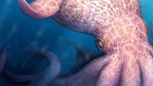 Deze mega-octopus uit de oerzee was slimmer en gevaarlijker dan wetenschappers ooit dachten