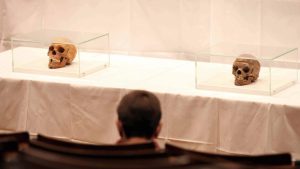 Duitse stichting ontdekt schokkende waarheid achter honderden schedels in koloniale collectie