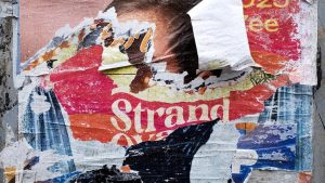 FVD-winnaar weigert plotseling alle lokale bestuursfuncties – niemand snapt waarom