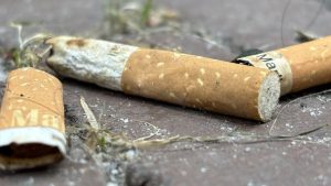 Gemeenten eisen miljoenen van tabaksindustrie voor peukenopruim – dit gaat het kosten