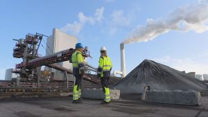 Kolen duikt plotseling weer op in Den Haag na maanden stilte – dit verandert alles