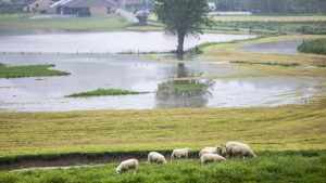 Nederland stort miljoenen naar zuiderburen – maar waarom krijgen wij niks terug voor hoogwater?