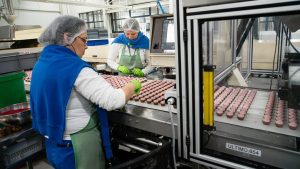 Nederlandse werkenden breken productiviteitsrecord: het geheim dat economen verbaast