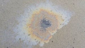 Olielek Antwerpen zorgt voor wekenlange opruimactie in Zeeland – dit is wat er gebeurde