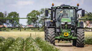 PFAS-verbod dreigt aardappeloogst te vernietigen: boeren slaan alarm over phytophthora-uitbraak