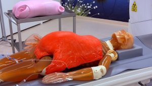 Scholieren verrassen ziekenhuis door medisch probleem op te lossen met simpele dikkere pop