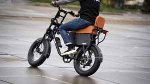 Waarom Amsterdam plotseling fatbikes uit Vondelpark verbant vanaf mei