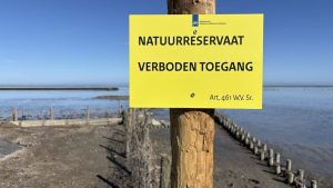 Wierummers wonnen jarenlange strijd om hun kwelder, maar mogen er plots niet meer komen