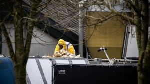 55.000 kippen in één klap gedood na schokkende ontdekking op Biddinghuizen pluimveebedrijf