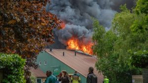 Brand dierenpark Feanwâlden eist dierenleven terwijl kinderen net op tijd worden geëvacueerd